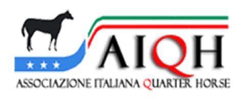 AIQH logo youviwa AIQH logo youviwa